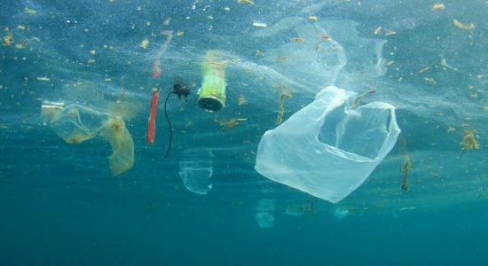 index 3 Prediksi Zona Akumulasi Plastik Sirkumpolar Akan Terbentuk di Tahun 2025