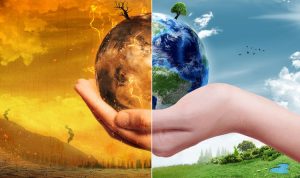 Jaga Bumi! Upaya Kaum Z dan Milenial Indonesia Melawan Perubahan Iklim