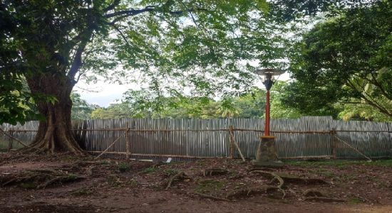 Kambang Iwak Dikeruk, Ratu Dewa: Pendalaman dan Daya Tarik Wisatawan