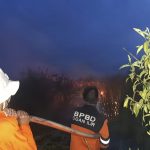 Lahan 5 Hektar di Pamulutan Hangus Disapu Kobaran Api