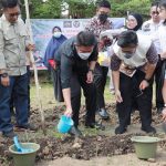 DPP Gencar Indonesia Masifkan Kebun Kota Dukung Program Sumsel Mandiri Pangan Inisiasi HD