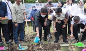 DPP Gencar Indonesia Masifkan Kebun Kota Dukung Program Sumsel Mandiri Pangan Inisiasi HD