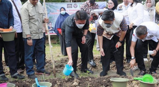 DPP Gencar Indonesia Masifkan Kebun Kota Dukung Program Sumsel Mandiri Pangan Inisiasi HD