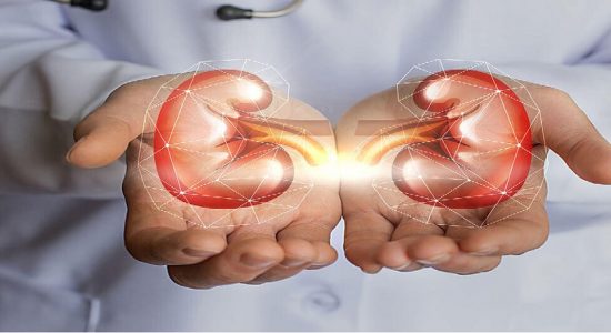 BPOM Pastikan Obat Penyebab Kerusakan Ginjal di Gambia Tak Ada di Indonesia