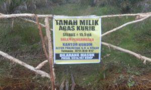 Dugaan Mafia Tanah di Banyuasin; Kebun Sawit 15,5 Hektare Jadi Sengketa