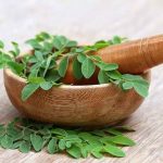 Si Daun Kelor, Tumbuhan dengan Beragam Khasiat