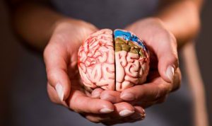 Otak; Bagaimana Menjaga Organ Vital yang Memiliki Banyak Fungsi Ini?