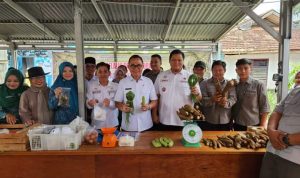 Upaya Tekan Laju Inflasi, Kini Operasi Pasar Khusus dan Reguler Digelar