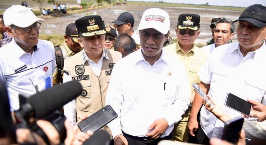 Agus Fatoni bersama Mentan RI Tinjau Giat Upsus Optimalisasi Lahan Rawa Tahun 2024 di Banyuasin