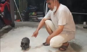 Warga 9 Ilir Gempar ! Ditemukan Tengkorak Manusia di Bawah Jembatan