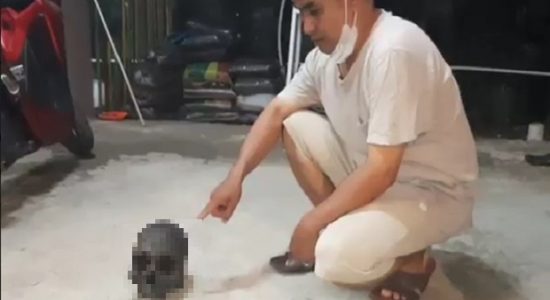 Warga 9 Ilir Gempar ! Ditemukan Tengkorak Manusia di Bawah Jembatan