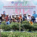 Feby Deru Pacu GSMP Merata di Penjuru Sumsel Melalui Teknologi Digital Farming