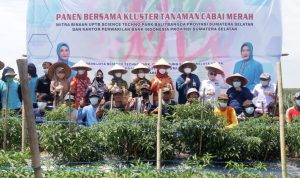 Feby Deru Pacu GSMP Merata di Penjuru Sumsel Melalui Teknologi Digital Farming