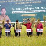Bupati Banyuasin Panen Padi Bersama Inspektur Jenderal Kementerian Pertanian RI