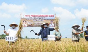 Deru Jadikan Banyuasin Sebagai Kekuatan Food Estate Penyangga Ketahanan Pangan Nasional
