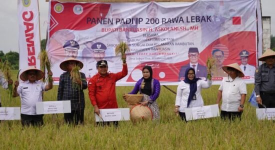panen-raya-padi-ip200 Panen Raya di Sungai Dua, Bupati: Mari Bangkitkan Pertanian di Banyuasin!