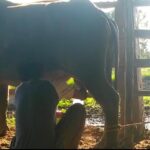 Analisis Potensi Daerah Dalam Pemberdayaan Masyarakat