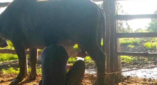 Analisis Potensi Daerah Dalam Pemberdayaan Masyarakat