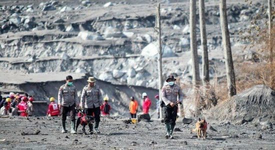 Pencarian Terus Berlanjut, Berikut Update Korban Erupsi Semeru Per 9 Desember