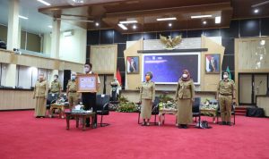 Paling Tepat Waktu Selesaikan TLHP, Mendagri Anugrahi Pemprov Sumsel Penghargaan