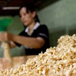 Harga Kedelai Melambung, Kemendag Pastikan Stok Dalam Negeri Aman