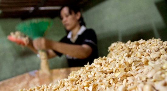 Harga Kedelai Melambung, Kemendag Pastikan Stok Dalam Negeri Aman
