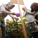 perwosi-sumsel-tanam-pohon Peringati Hari Sejuta Pohon, Perwosi Sumsel Gelar Penanaman Pohon