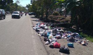 Bau Menyengat! Sampah Berserak di Pinggir Jalanan Kota