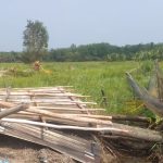 Sengketa Lahan Cetak Sawah, Kebun dan Pondok Petani Pulau Harapan Dirusak