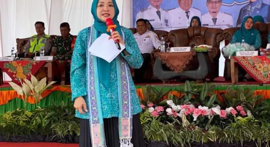 Merry Hani Tetap Semangat Lakukan Pembinaan dan Penilaian 10 Program Pokok PKK di Kecamatan Muara Sugihan