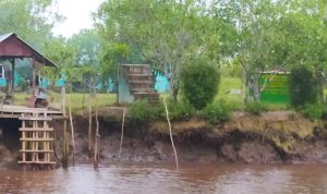 Khawatir Penularan Virus PMK, Kunjungan ke Pusat Latihan Gajah Padang Sugihan Dibatasi