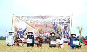 Herman Deru Komitmen Bangun Ketahanan Pangan Sumsel Tetap Terjaga