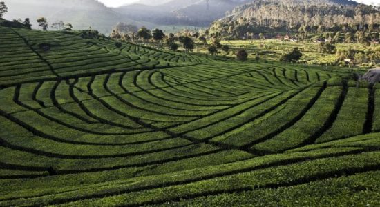 Komitmen Reforma Agraria Belum Terlihat Signifikan, Komnas HAM Sampaikan Ini