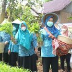 Ketua TP PKK Sumsel Feby Deru Motivasi Kader PKK OKU Jadi Panutan Warga