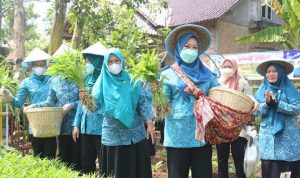 Ketua TP PKK Sumsel Feby Deru Motivasi Kader PKK OKU Jadi Panutan Warga