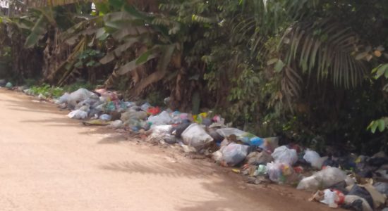 Sampah Ganggu Kenyamanan Tempat Ibadah dan Sekolah, Warga Geram!