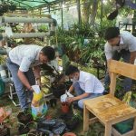 Dukung Gerakan Sumsel Mandiri Pangan, Siswa/i SMA N 14 Palembang Lakukan Ini di Sekolah