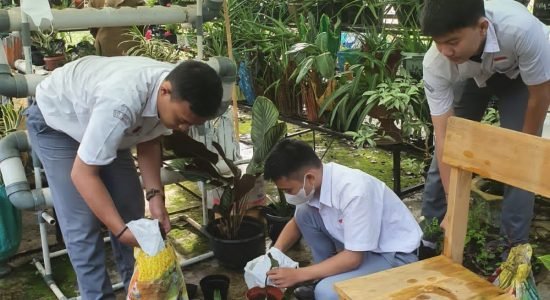 Dukung Gerakan Sumsel Mandiri Pangan, Siswa/i SMA N 14 Palembang Lakukan Ini di Sekolah