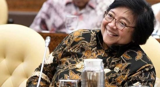 siti nurbaya Setop Deforestasi?! Menteri LHK Justru Mengeluarkan Pernyataan Kontroversial
