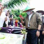 Produktifitas Warga Dongkrak Pertumbuhan Ekonomi Sumsel Lampaui Nasional