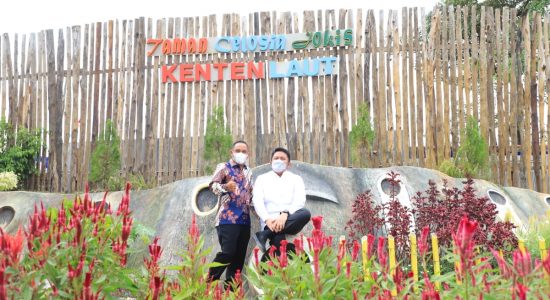 taman celosia kenten Gubernur Resmikan Kolam Renang dan Taman Bunga Celosia di Kenten Laut