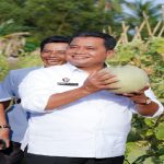 Bupati Banyuasin Tanam Perdana Padi IP 200 Untuk Kesejahteraan Petani