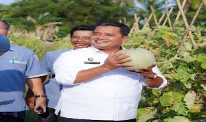 Bupati Banyuasin Tanam Perdana Padi IP 200 Untuk Kesejahteraan Petani