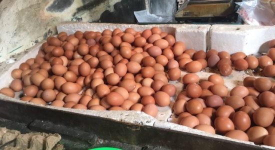 telur-ayam Telur Naik Daun, Statemen Menteri Perdagangan Bikin Baper
