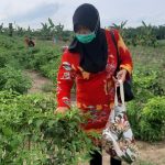 Warga Kenten Laut Dukung GSMP Inisiasi Herman Deru